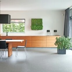 Muurhanger Verticaal Tuinieren 8 Muurhanger Verticaal Tuinieren -Buitenleven & Tuin 123 1366