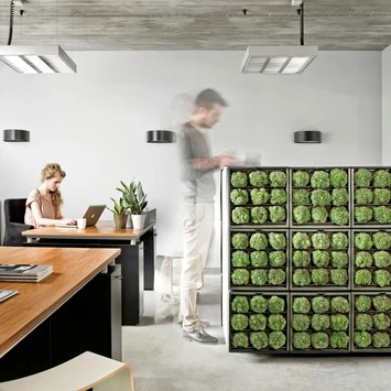 Muurhanger Verticaal Tuinieren 6 Muurhanger Verticaal Tuinieren - Afbeelding 4