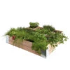 Moestuinbak Douglas 100x100cm  -Buitenleven & Tuin 123 1413