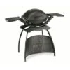 Weber Barbecue Q2400 Grey Stand 80x80 Cm -Buitenleven & Tuin 123 840
